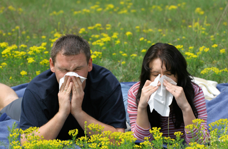 allergy-symtoms